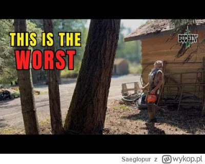 Saeglopur - https://www.youtube.com/watch?v=7RsTk5ffCHw
#przyroda #drewno #drzewo #la...