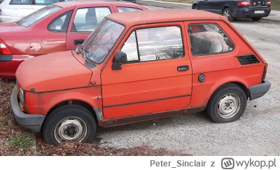 Peter_Sinclair - Dzisiejsza dawka gratów i wrostów @lonelyjunkcars

Dzisiaj po polsku...