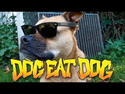 n.....n - Dog Eat Dog wraca z nowym materiałem, premiera płyty 20 października 
#doge...