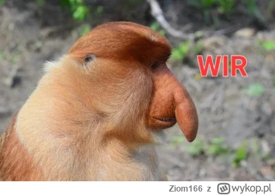 Ziom166 - @Uuroboros: