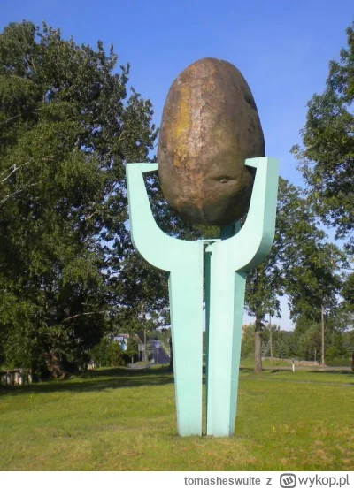 tomasheswuite - Król warzyw a obok niego ona królowa Cebula.