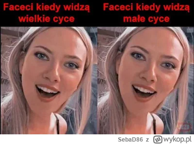 SebaD86 - #cycki #heheszki #humorobrazkowy #logikaniebieskichpaskow