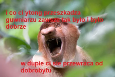 wankstain - #konkursnanajbardziejgownianymemznosaczem