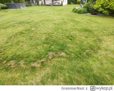 GrammarNazi - Diabły się dla mnie na podwórku zalęgli

#dom #ogrod #ogrodnictwo #diab...