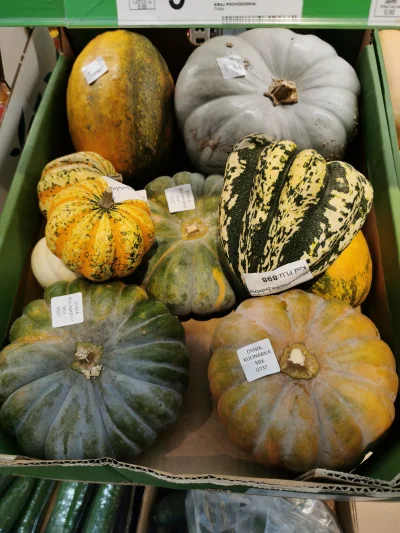 Borealny - Która dynia najlepiej nadaje się do dań zarówno słodkich jak i słonych? Ch...