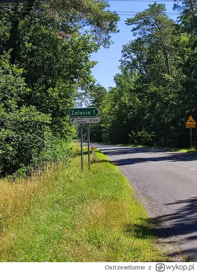 Ostrzewtlumie - pozdrawiam wszystkich mieszkańców tagu #zalesie  (╭☞σ ͜ʖσ)╭☞
i dodatk...