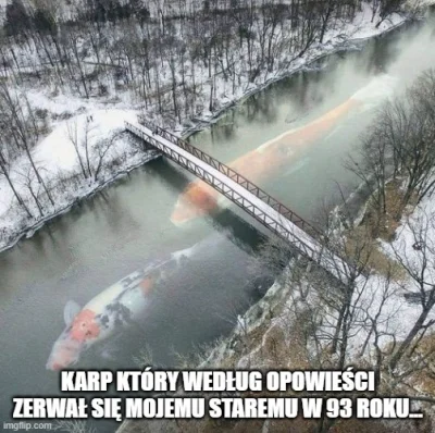 PonuryBatyskaf - #wedkarstwo #heheszki #humorobrazkowy