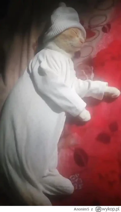 Anonim5 - #przegryw czas do spania