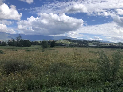 ChlopoRobotnik2137 - W tle myśliwy , już 5 dziś spotkałem . Ja nie kaczka ja chłop! C...