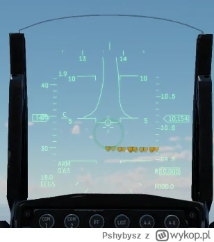 Pshybysz - Zauważyłem w F16C,  że na hud ma taką śmieszną pływającą linię horyzontu. ...