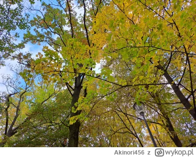 Akinori456 - Spokojnie dzisiaj...
(｡◕‿‿◕｡)

Zobaczymy na ile...
(╯︵╰,)

#przegryw #pr...