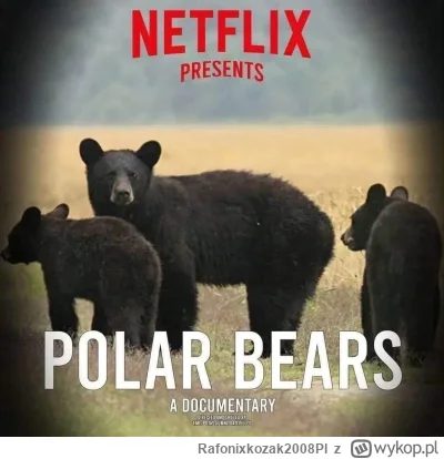 Rafonixkozak2008Pl - #netflix #heheszki #niedzwiedzie #bekazlewactwa