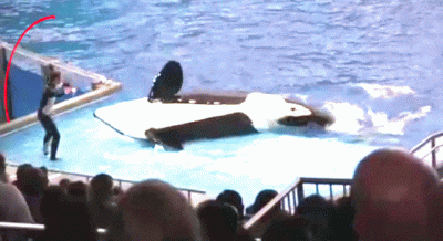 wfyokyga - Śmiechu warte 4