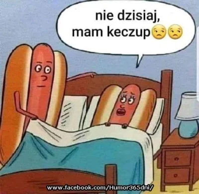 Salido - #humorobrazkowy #heheszki #hotdog