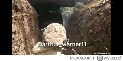 PIGMALION - W filmiku sa urywki jednego z lepszych filmików walk w bliskim dystansie ...