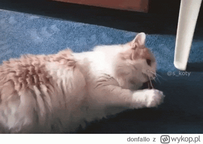 donfallo - @ibleedforyou: