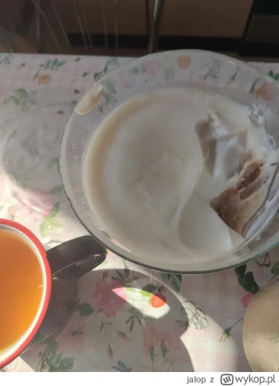 jalop - Nie ma to jak domowy, świeży smalec xd

#smalec #gotujzwykopem