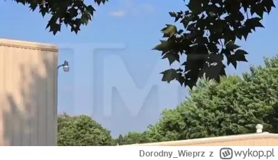 Dorodny_Wieprz - Tutaj ludzie nagrywaja strzelca na dachu ( ͡° ͜ʖ ͡°)