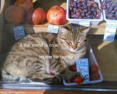 f.....e - Fakty są takie, że 110% moich wpisów potwierdza mój trukelizm. 

#przegryw ...