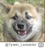 Tywin_Lannister - Jaime Lannister aka @Nadrill 

Konto 16 lat, real og