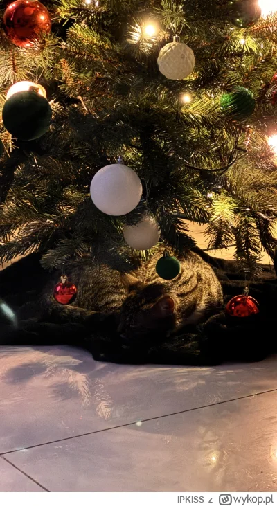 IPKISS - @WideOpenShut ;-)