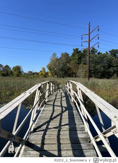 R2D2zSosnowca - @R2D2zSosnowca najlepsze zawsze są te drewniane mostki co nie wiadomo...