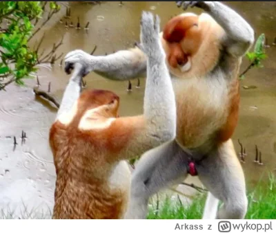 Arkass - xD ( ͡° ͜ʖ ͡°)