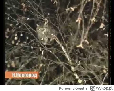 PotwornyKogut - @prankocsv  @deptaczgnoju na drugi raz tylko tak!
https://youtu.be/V_...