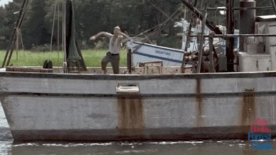 smutny_kojot - Przedsiębiorca kiedy miną 2 lata od zakupu jachtu ze środków unijnych ...