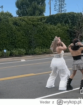 Vedar - to tylko tiktokerki tańczące na ruchliwej drodze bez racjonalnego powodu

scr...