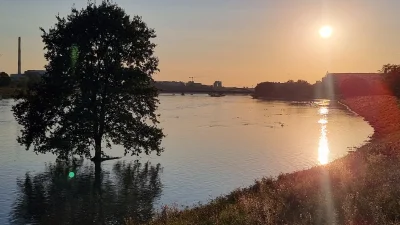 b_oski - #wroclaw wczoraj