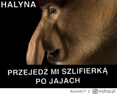 Azorek77 - #konkursnanajbardziejgownianymemznosaczem