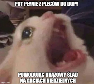 vieniasn - zaczęło się