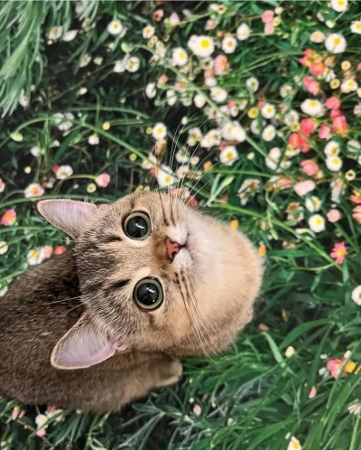 wybryk_natury - ! I tu też @OrionTheWarrior 
#zlodziejskiewybryki