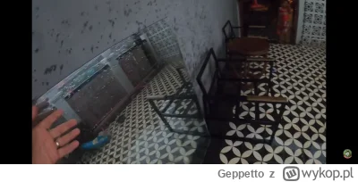 Geppetto - #raportzpanstwasrodka if wind go PU it can just TSZ