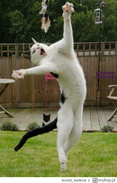 leonid_bialkow - NO CHODŹ TUTEJ TY PTOKU