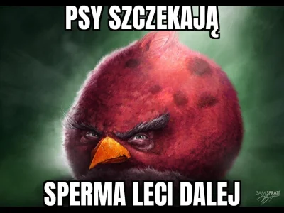 Mr3nKi - @NaczelnyAgnostyk: Jakiś czas temu było tego pełno xD