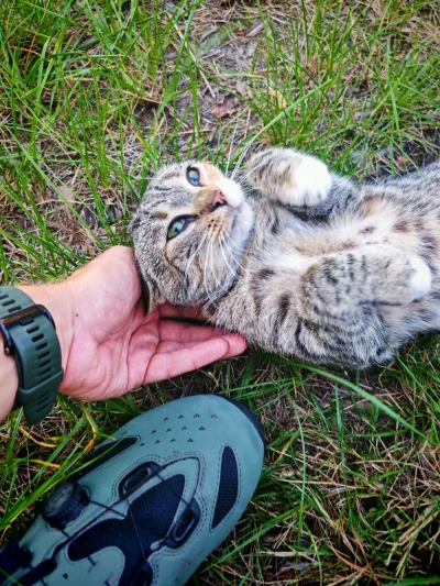 Lasomir - 267 161 + 34 + 30 + 80 + 34 + 15 = 267 354

Kilka zaległych jazd oraz jedna...