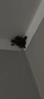 Soothsayer - P------e nigdy więcej uchylonego okna