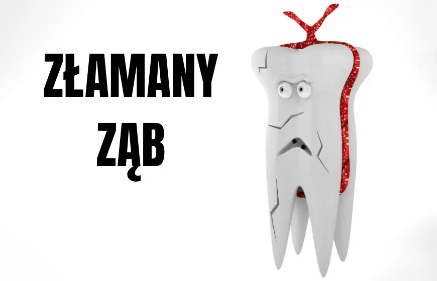 CH3j - W przypadku utraty zęba z korzeniem i niezłamaną koroną należy go natychmiast ...