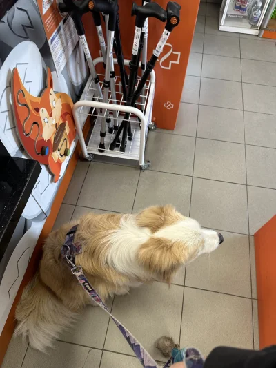 o_0 - @o_0: a i obsługa zadowolona, że taki piękny klient do nich przyszedł (｡◕‿‿◕｡)