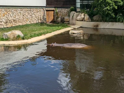 dywergent - gdzie sie obecnie poznaje innych ludzi (nie wykop)