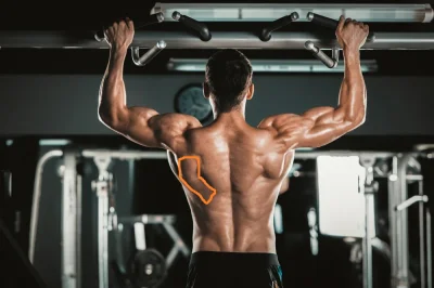 Kentaki_chicken - Czy ktoś może wie jaki to mięsień zaznaczony na obrazku?

#silownia...