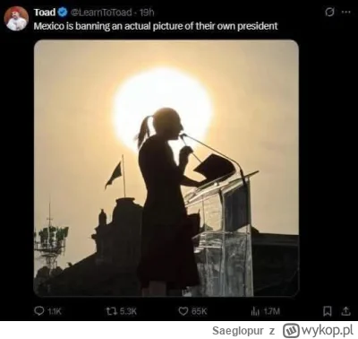 Saeglopur - Sheinbaum