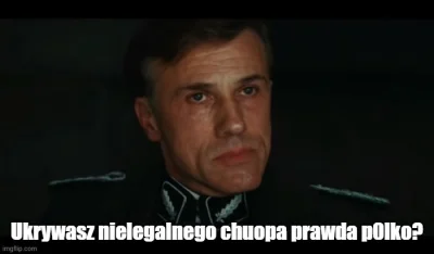 Femboy30k - Podobno w mieście granicznym z Niemcami patrole obywatelskie próbowały wy...