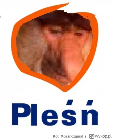 Kot_Mosznozgniot - #konkursnanajbardziejgownianymemznosaczem