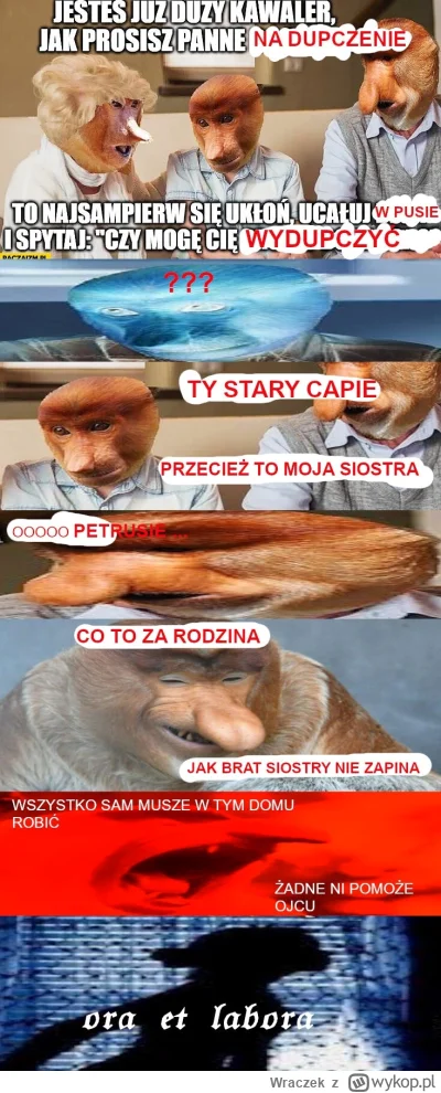 Wraczek - #konkursnanajbardziejgownianymemznosaczem
#kolekcjaklasyki