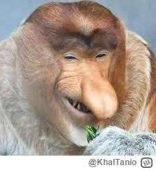 KhalTanio - @Whirrun: no i tego typu też oczywiście