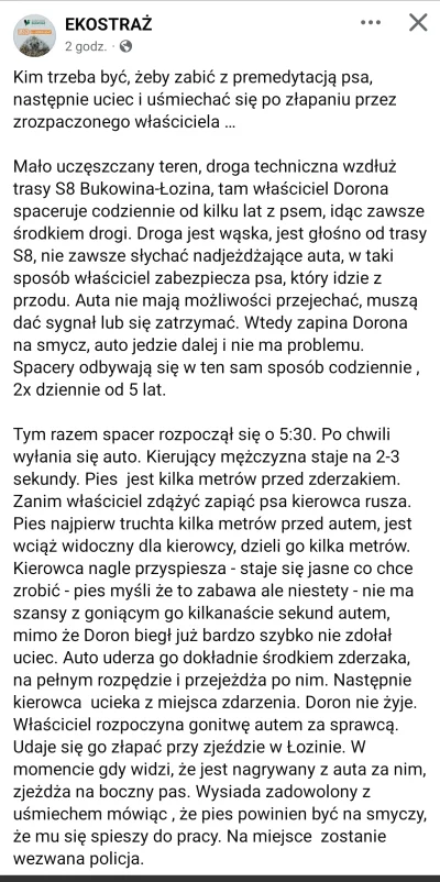 Okaz_prawilnosci - #psiarze xDD kundel potrącony bo szedł środkiem drogi, ale wszarze...