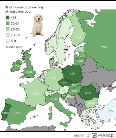 sirdam - Tak to wygląda niestety z psiarzami nikt nic nie zrobi bo za duża siła wybor...